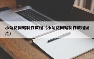 莱阳小菊花网站制作教程（小菊花网站制作教程图片）