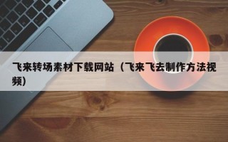 莱阳飞来转场素材下载网站（飞来飞去制作方法视频）